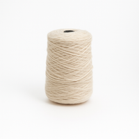 Pergament 100% Wolle Tufting Yarn Auf Kegel (4N05)