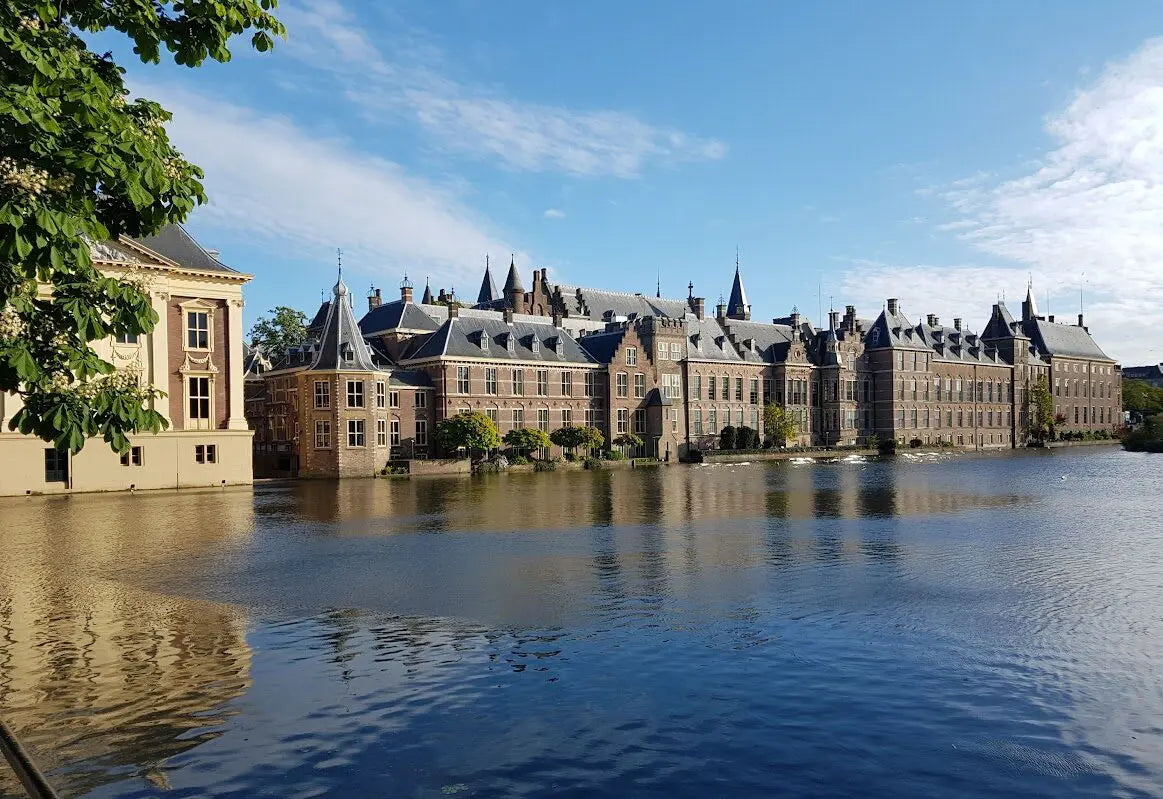 files/binnenhof-the-hague-e1679183629978_jpeg.webp