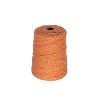 Peach Fuzz color of the year 2024 100% Wool Tufting Yarn On Cone (2024c) - Tuftingshop